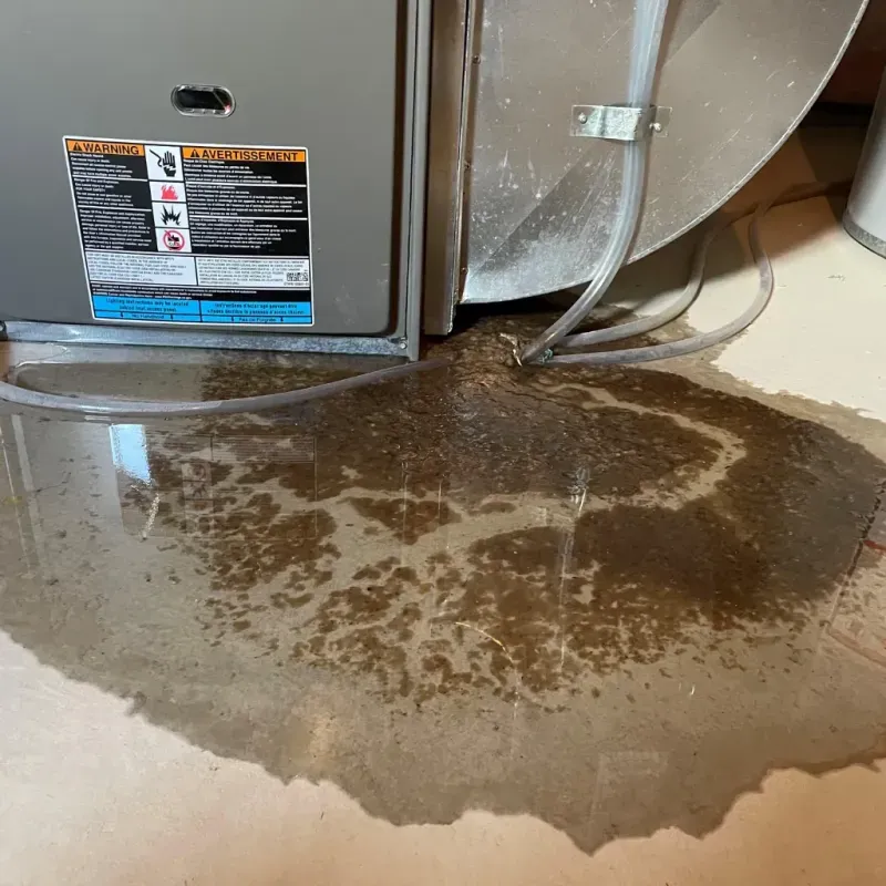 Appliance Leak Cleanup in Keeler Farm, NM